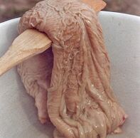 Kamel Mo fir d'Potenz ze stimuléieren